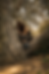 96DF4753-C8EA-4ACE-B54A-D03409CC5F69.PNG