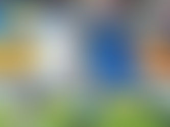 Молодіжна збірна України вийшла в фінал чемпіонату світу з футболу