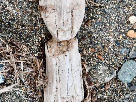 ‘Nunalleq Digital Museum – An Accessible Resource for Learning about Yup’ik Pre-Contact History’ by Prof. Charlotta Hillerdal