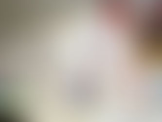 ‘History Has Never Not Been Important’ by Stephanie Meek