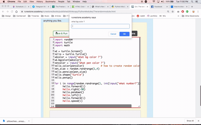 turtlepython.gif