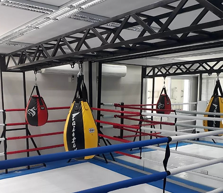 Captura de Tela 2024-04-18 às 15.50.49.png