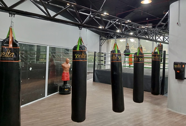 saco de pancada de boxe, personalizado, Muay Thai logo e cores personalizados