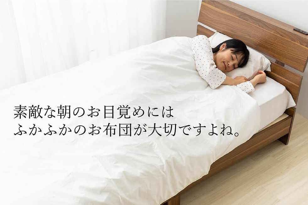 nomura03.jpg