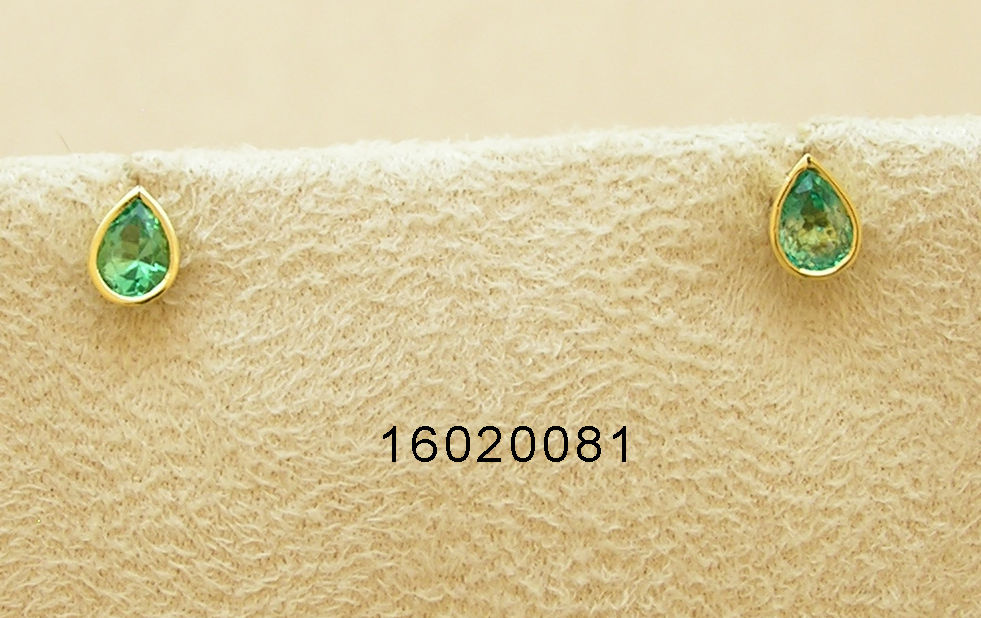 16020081