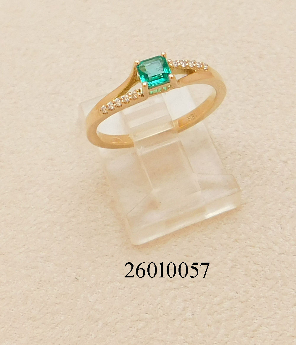 26010057