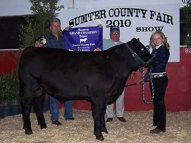 2010 sumter county