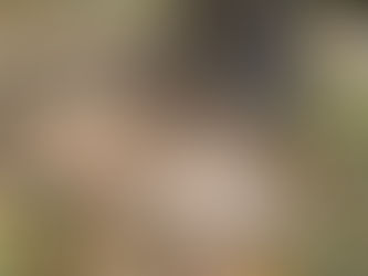 Maitake Harvest + Mushroom Gardening