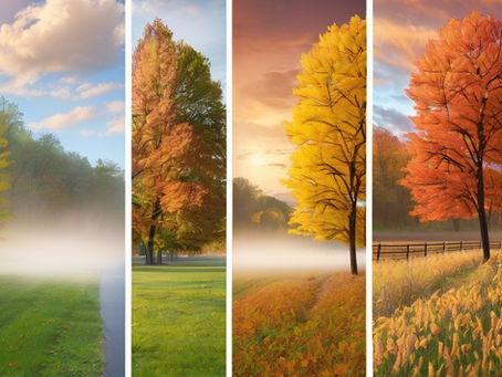 How Seasonal Transitions Drive Personal Growth: Nature of Achievement Series (4/4)