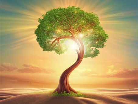 What Is Whole Person Leadership? (Holistic Leadership Series – Part 1)