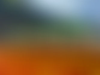 Special Thanks!! KAMUFORNIA FES 2026