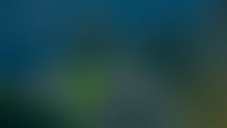 Children in the Stars: A Creation Story Remembered