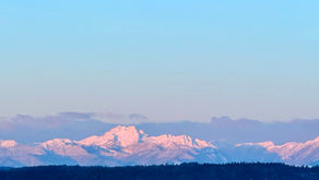 Report from the Salish Sea