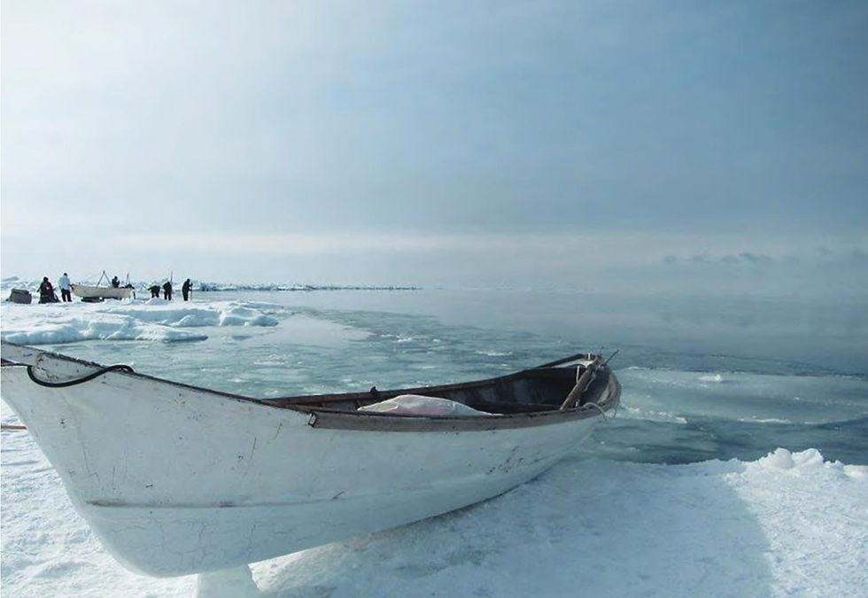 The same craft at the working edge itself: sealskin over a wooden frame, silent enough to slip up on a bowhead the way the bowhead is said to prefer being approached. This is the boat the shore-fast ice has always been the working platform for; both are, now, on a shortening lease. Photograph courtesy of Alaska Arctic Observatory & Knowledge Hub.