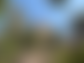 Madagascar: Cultural Melting Pot