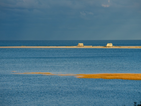 Wild Cape Cod Notebook: Autumn