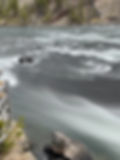 ree