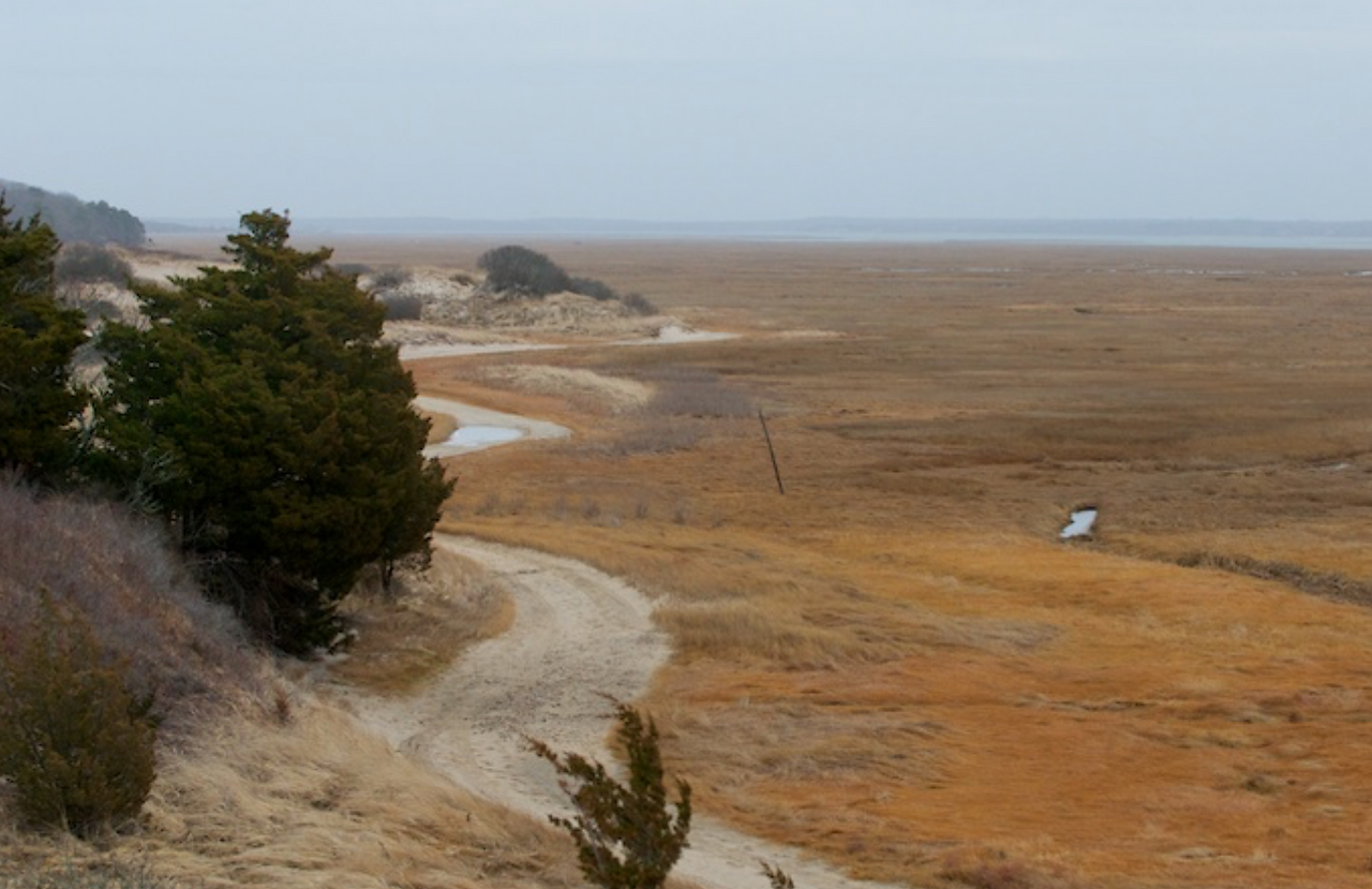 Sandy Neck - Great Marsh side