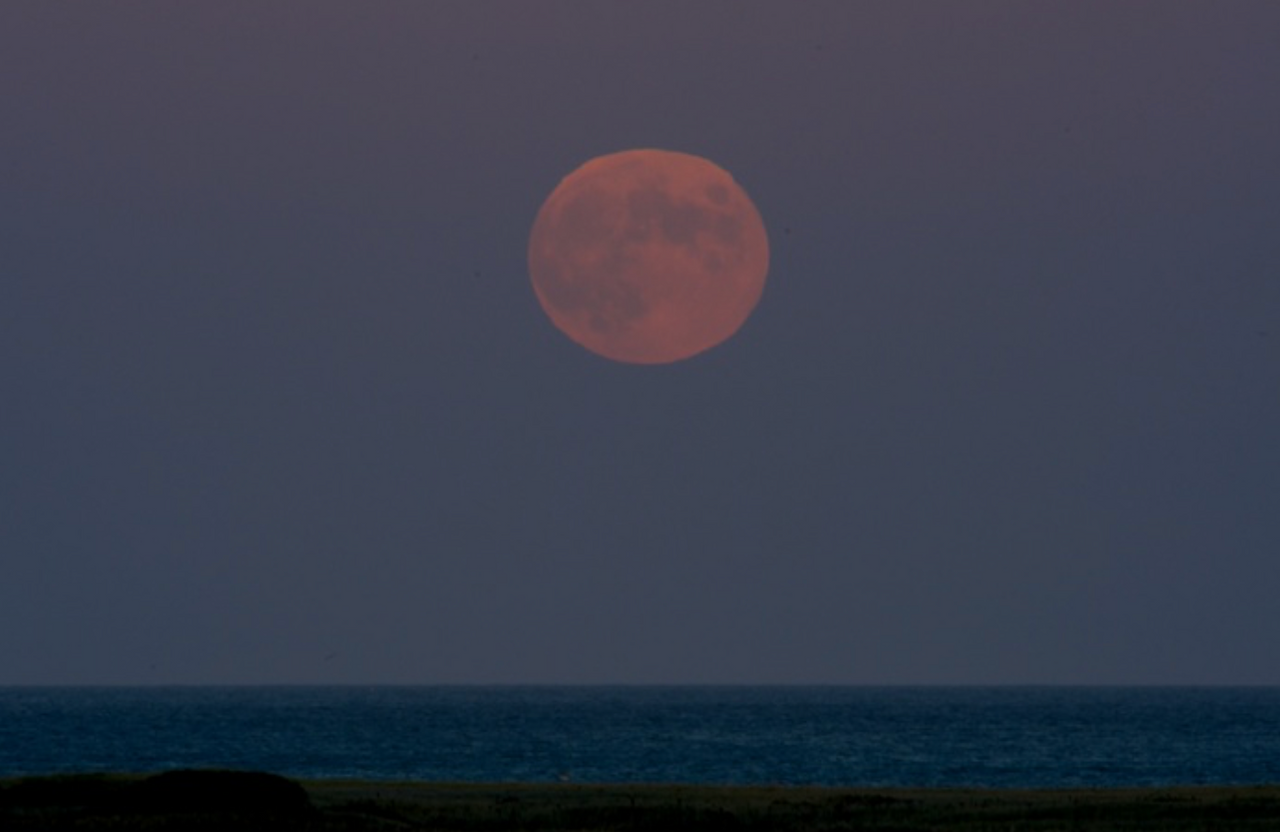 Hunter Moonrise - Chatham, MA
