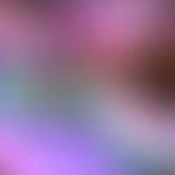 Doc McStuffins Birthday Set