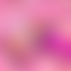 Barbie DvDs + Posters & Toy Boxes