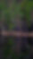 DSCF5871.jpeg