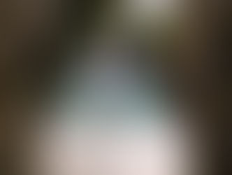 Communiqué - Cérémonie de recueillement à la mémoire de Monsieur Mohamed Akram Hafiz le 11 mars 2026