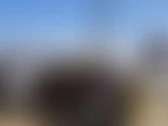 Caravane de la mémoire en Algérie : au tour d’Oran !