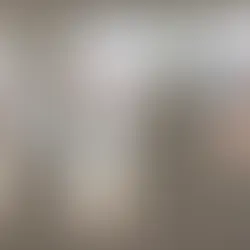 Réunion pour l'installation de bureaux de certification Halal en Europe