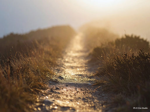 Récits célestes (n°69) - La philosophie de l’émigration dans Coran