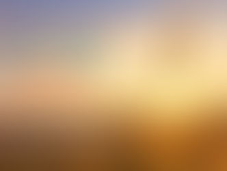 Le vrai du Faux (n°9) - "Celui qui persévère trouve, et celui qui sème récolte"