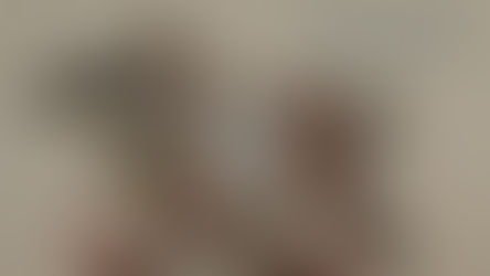 Événement - "Célébration du cheval arabe" autour de l’œuvre de Marine Oussedik, du 29 avril au 29 mai 2026