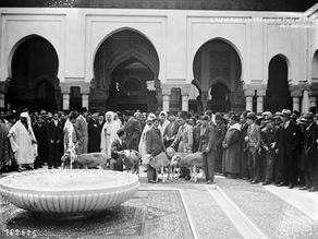 Notre mosquée (n°75) - Hajj, Aïd al-Adha : la Grande Mosquée de Paris en action