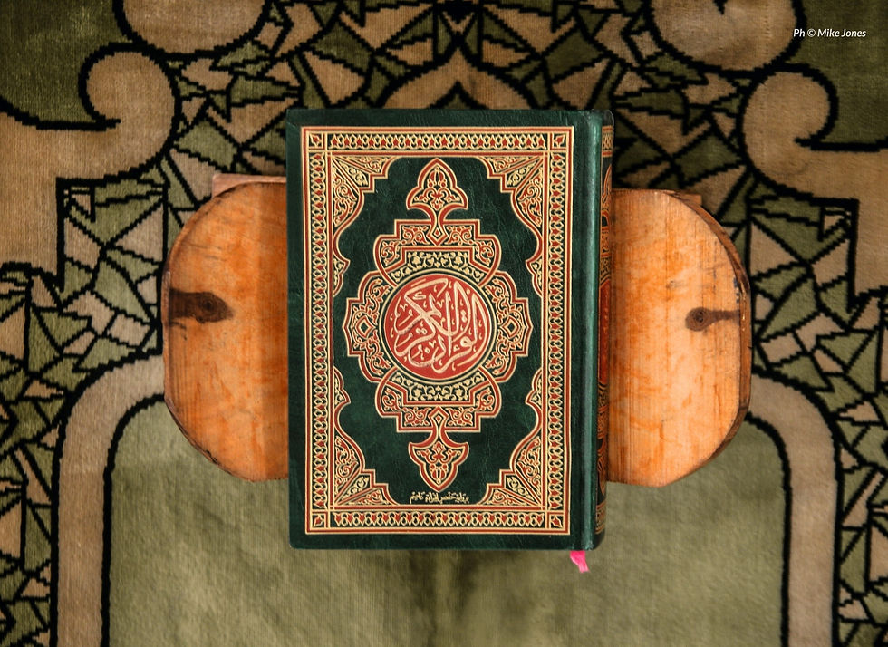 Le Coran m’a appris (n°51) - Le sacrifice n’est pas une affaire de sang… mais d’intention