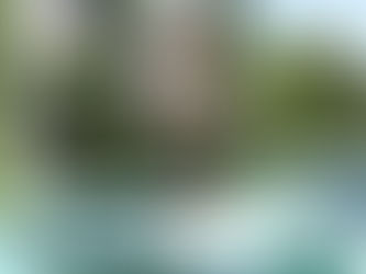 Notre mosquée (n°7) - Les jardins