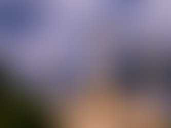 Lumière et lieux saints de l'Islam, à la découverte des mosquées du monde (n°8) - Selimiye