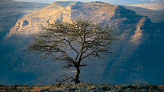 Récits célestes (n°93) - L’émigration vers l’Abyssinie : quand les exilés trouvent une terre de dignité