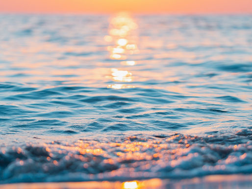 Le Hadith de la semaine (n°93) - La valeur de la richesse entre l’éthique humaine et le sens de sa gérance (khilafa) par l’homme