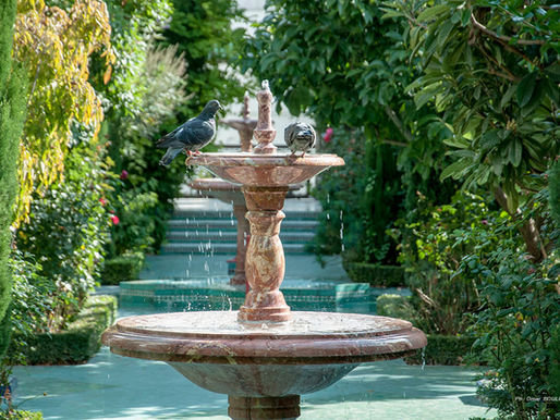 Communiqué - Annonce de la date de l'Aïd al-Fitr 2023-1444/H