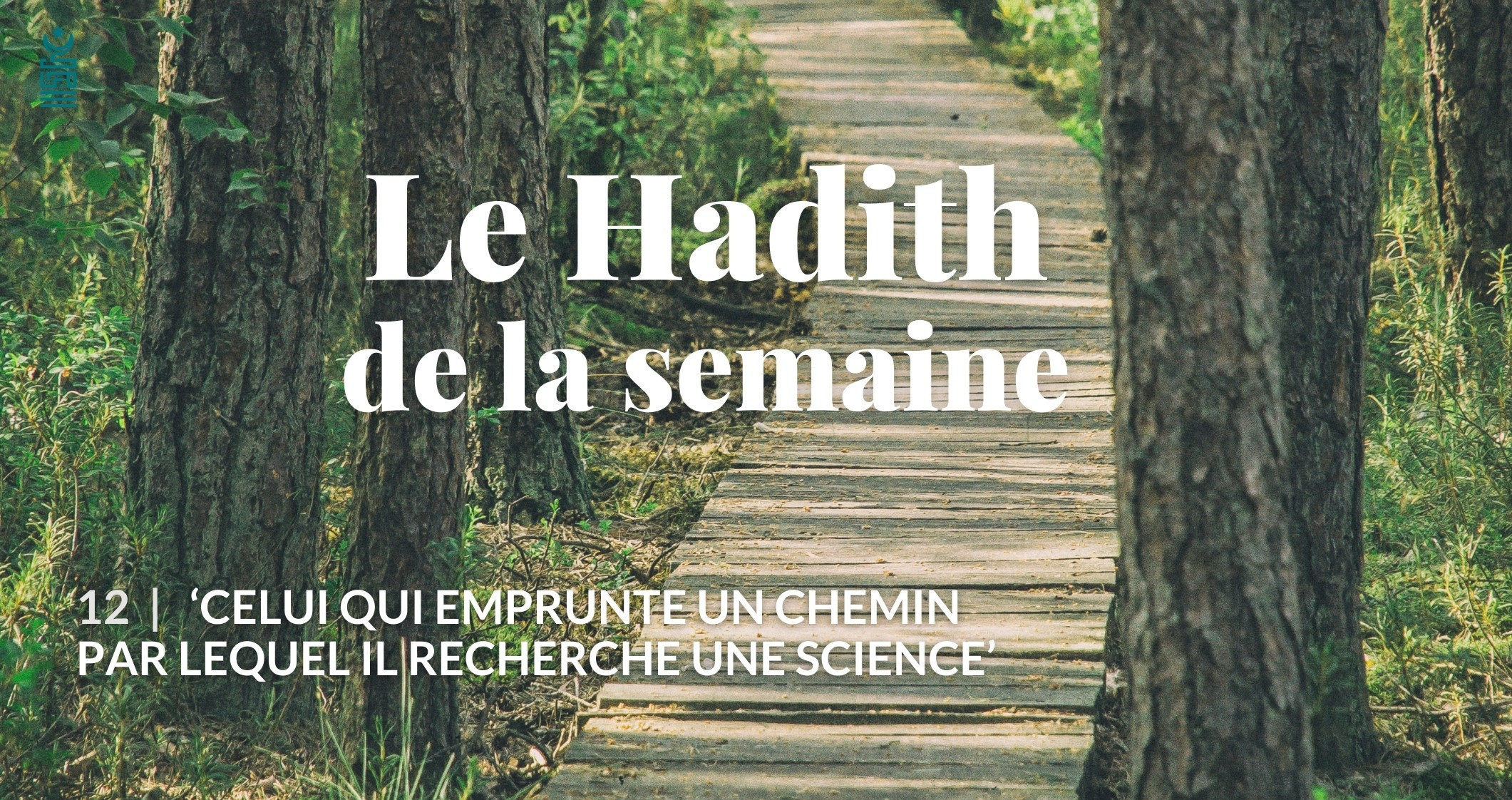 Celui Qui Emprunte Un Chemin Vers La Science