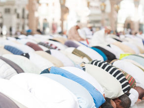 Le Hadith de la semaine (n°86) - L’égalité, la fraternité et la liberté dans l’enseignement prophétique