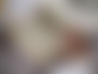 Le Coran m’a appris (n°31) - Que le Livre guide le cœur avant la raison