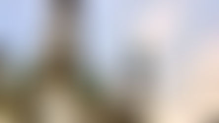 À la découverte des mosquées du monde (n°86) - La mosquée du Sultan Tipu