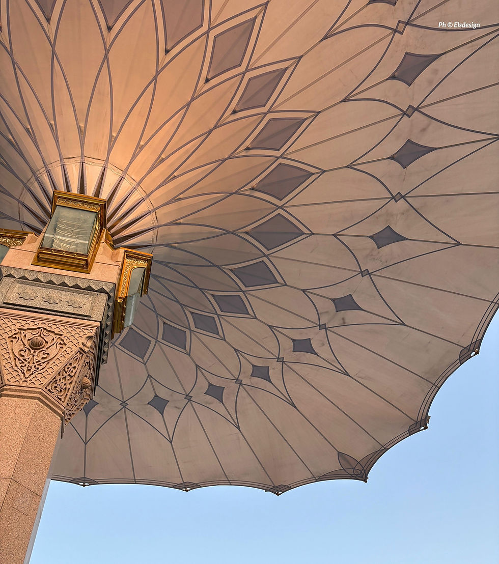 Le Hadith de la semaine (n°106) - La parole et le comportement à l’aune de la foi