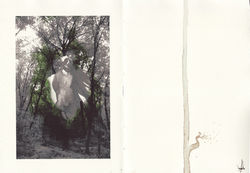 dans la foret lointaine le coeur bat plu