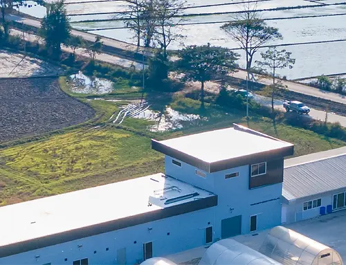 thonng ampai factory lampang plants