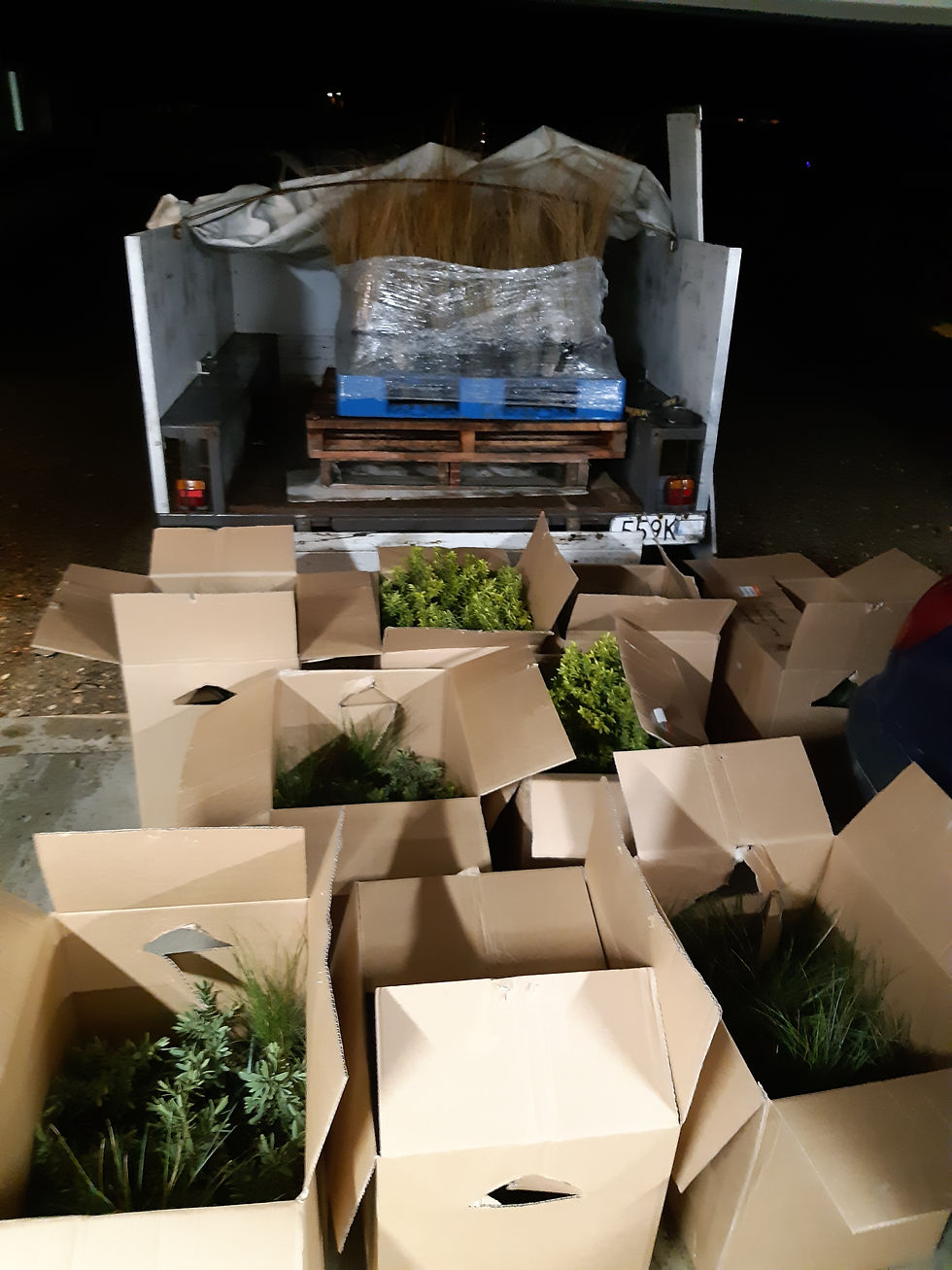 A garage full of boxes packed with plants
