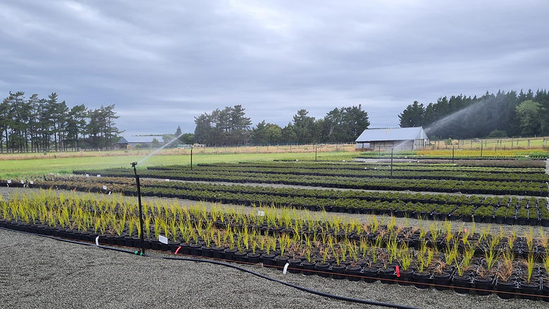 220111 Nursery.jpg
