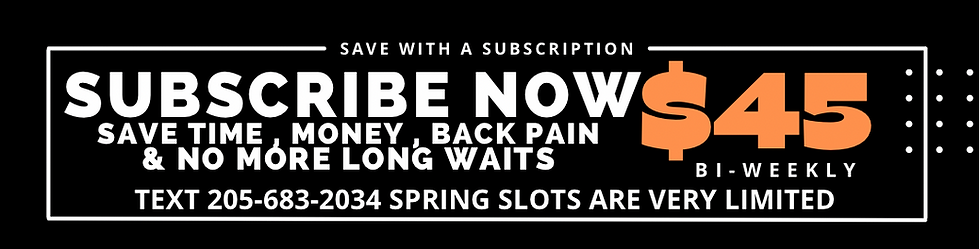 purple minimalist Health insurance LinkedIn Banner (500 x 156 px) (500 x 156 px).png