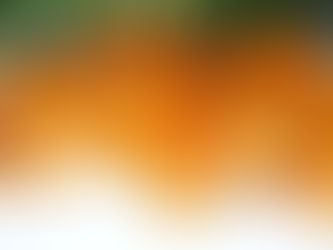 Pig Candy… aka Bacon Peanut Brittle